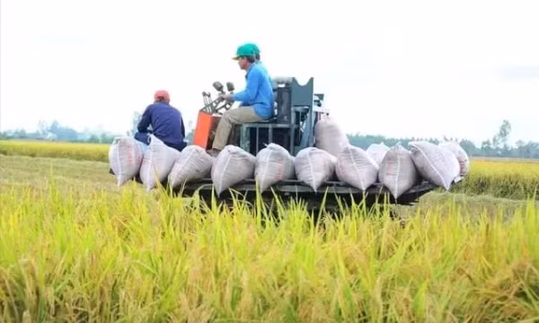 Việt Nam thu về 33,8 tỷ USD từ xuất khẩu nông sản, giao thương với Mỹ tăng mạnh