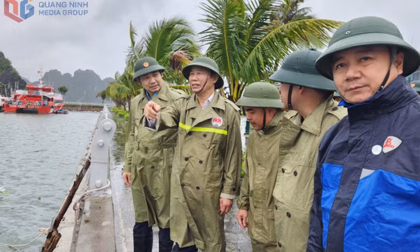 Thứ trưởng Bộ Nông nghiệp và Môi trường kiểm tra công tác phòng, chống bão số 3