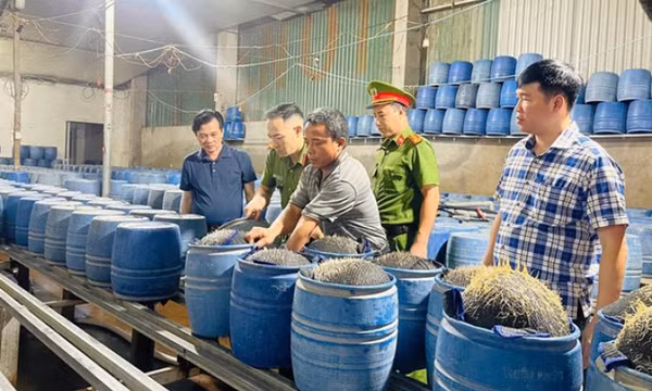 Truy tố cặp vợ chồng dùng hóa chất độc hại sản xuất hàng trăm tấn giá đỗ