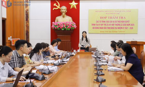 Ban Pháp chế HĐND tỉnh thẩm tra các tờ trình, báo cáo