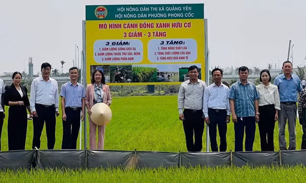 Nông dân tích cực tham gia bảo vệ môi trường