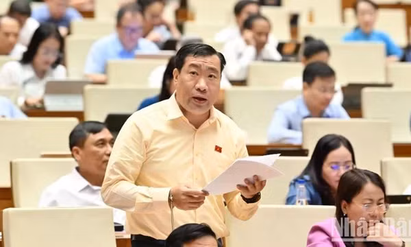 Tránh nguy cơ dàn trải khi tổ chức các tòa chuyên trách