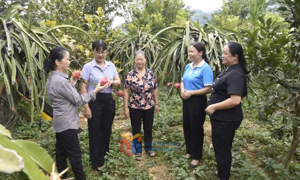 Phát huy vai trò Mặt trận Tổ quốc và các tổ chức chính trị - xã hội thúc đẩy bình đẳng giới