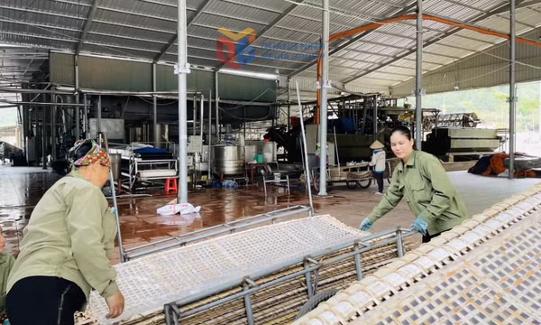 Đào tạo nghề, giải quyết việc làm cho đồng bào dân tộc thiểu số