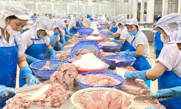 Xuất khẩu cá tra sang thị trường EU duy trì đà tăng trưởng