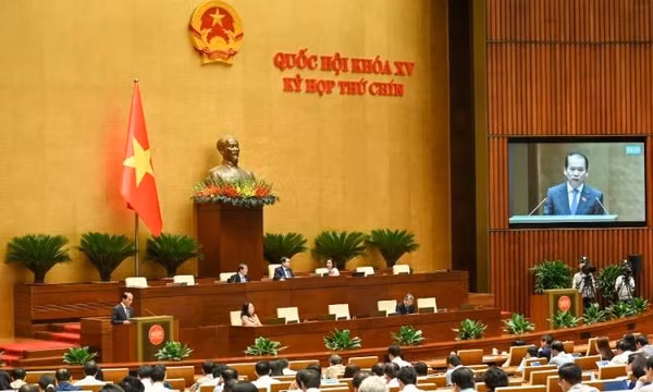 Đề xuất cho bán ngay tang vật, phương tiện vi phạm hành chính bị tạm giữ