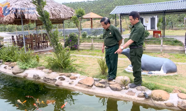 Hiệu quả các mô hình kinh tế của cựu chiến binh