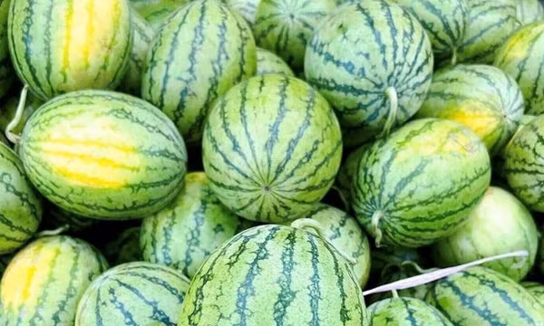 Dưa hấu và 2 loại trái cây chống nắng tự nhiên có sẵn trong gia đình