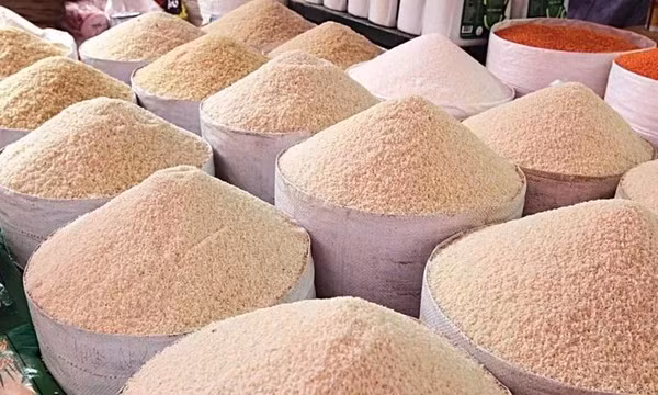 Việt Nam đẩy mạnh xuất khẩu cám gạo sang thị trường Trung Quốc