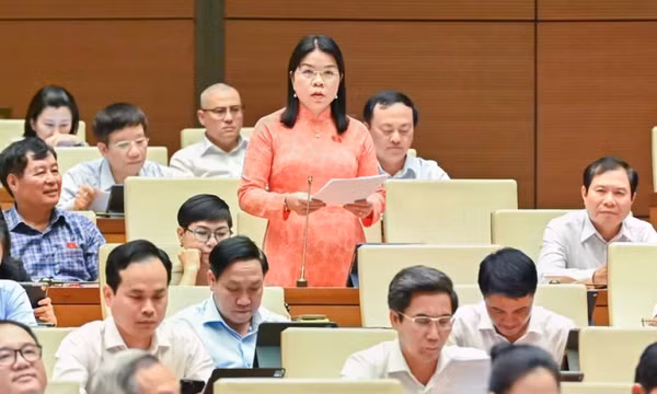 Cần có cơ chế thu hút người tài năng trong hoạt động công vụ
