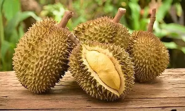 Xuất khẩu sầu riêng: Tăng tốc để giữ thị trường