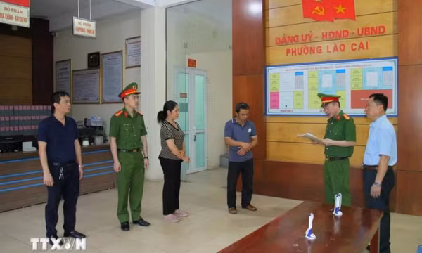 Lào Cai: Khởi tố 3 bị can sản xuất giá đỗ bằng hóa chất độc hại