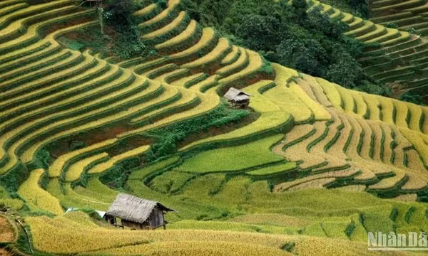 Tái cấu trúc du lịch, giữ hồn bản sắc