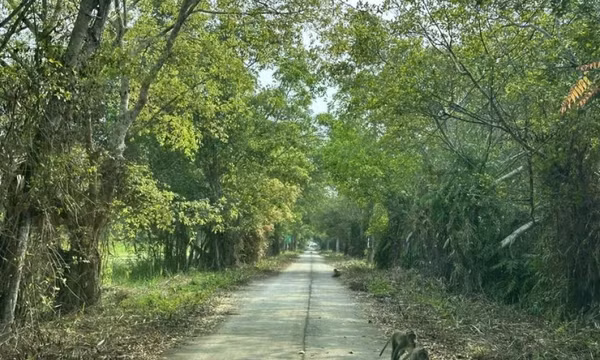 Vườn quốc gia U Minh Thượng mở cửa đón khách tham quan trở lại
