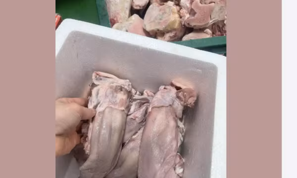 Nội tạng heo, bò bán tràn lan trên mạng giá siêu rẻ