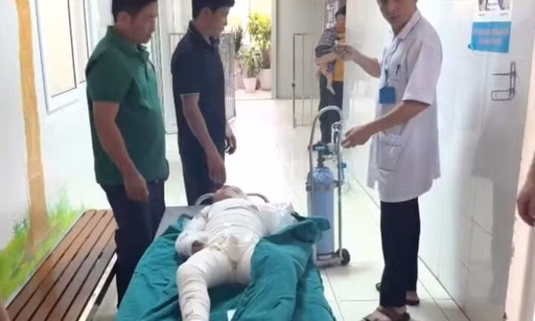Dùng xăng đốt kiến, hai bé ở Thanh Hóa bị bỏng nặng