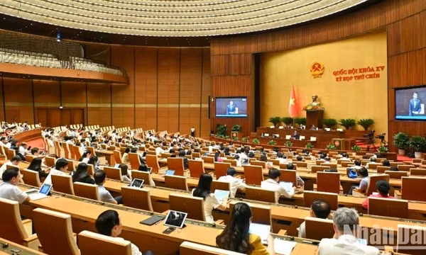 Làm rõ ưu đãi trong đấu thầu, siết chặt kiểm soát chỉ định thầu để ngăn tiêu cực