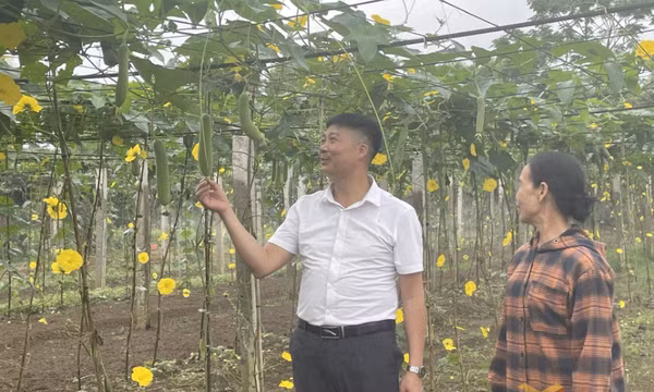 Hội Nông dân Quảng Ninh: Khơi dậy phong trào thi đua từ vai trò của cán bộ và tổ chức Hội