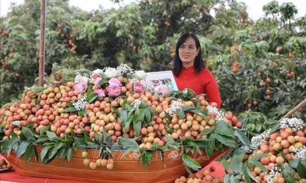 Triển khai các biện pháp bảo đảm sản xuất, chế biến, tiêu thụ và xuất khẩu nông sản