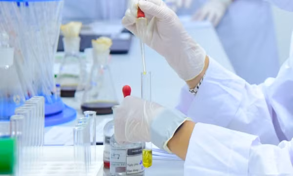 Chính sách mới: Chuyên gia cao cấp được hưởng lương 23,4 triệu đồng như bộ trưởng