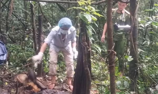 Phát hiện bộ xương trong rừng sâu, nghi của người bị truy nã