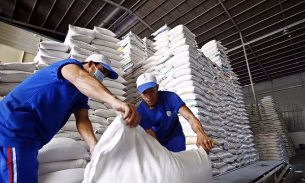 Đề xuất quy định mới về kinh doanh xuất khẩu gạo