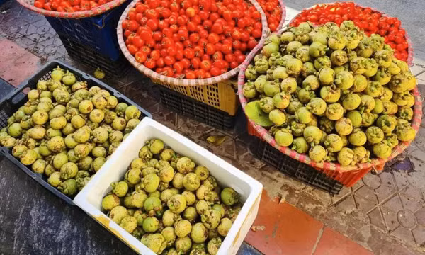 Măng cụt xanh giá cao vẫn 'cháy hàng'