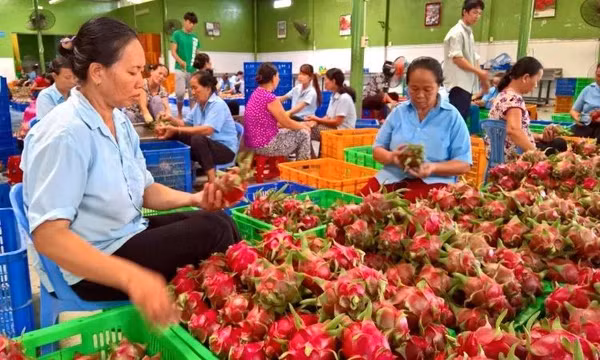 Bảo đảm sản xuất, tiêu thụ, xuất khẩu nông lâm thủy sản trong bối cảnh biến động thương mại toàn cầu