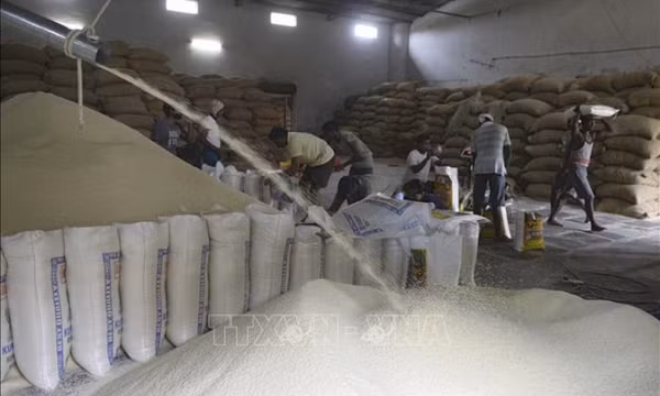 Nhiều đổi thay trên thị trường gạo thế giới