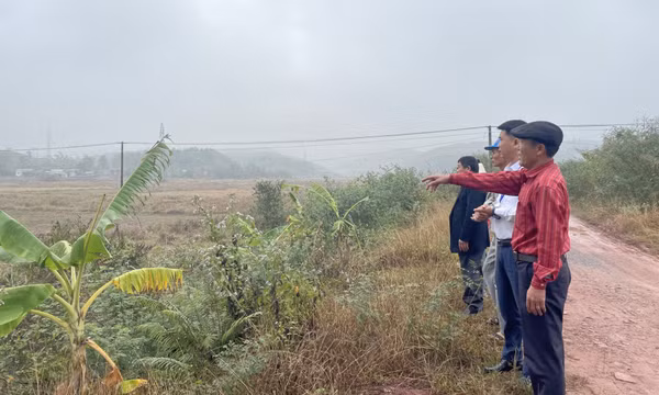 Khắc phục tình trạng đất canh tác bị nhiễm mặn