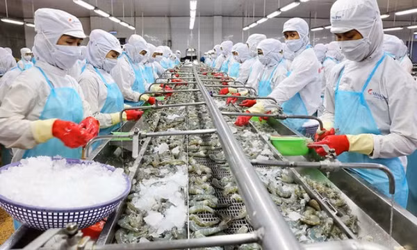 Ngành tôm hướng tới mục tiêu 4 tỷ USD