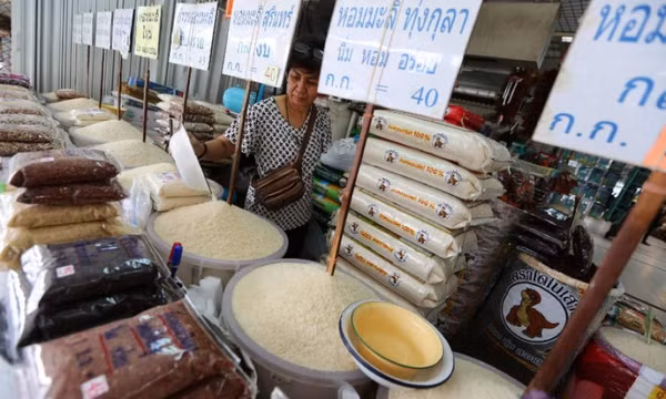 Gạo Thái Lan dự kiến giảm xuất khẩu, kém cạnh tranh so với gạo Việt Nam