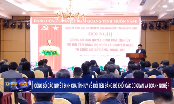 Công bố quyết định của Tỉnh ủy về đổi tên Đảng bộ khối và chuyển giao tổ chức cơ sở Đảng, đoàn thể