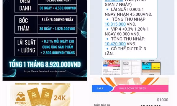 Cả ngàn người sập bẫy app đa cấp VN-Temu