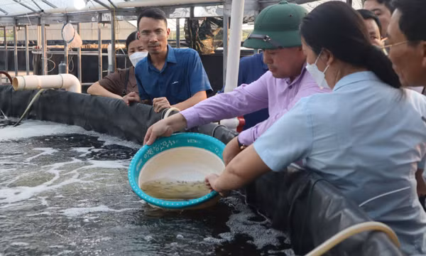 Tiếp tục phát triển nông nghiệp công nghệ cao gắn với xây dựng NTM hiện đại, nông dân văn minh