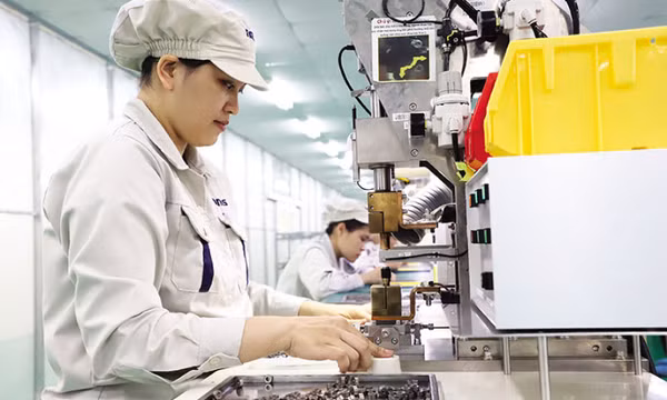 Việt Nam - Ngôi nhà thứ hai của “đại bàng”
