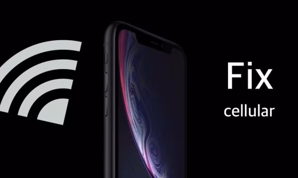 Một số iPhone chạy iOS 17.1.2 gặp lỗi kết nối mạng di động