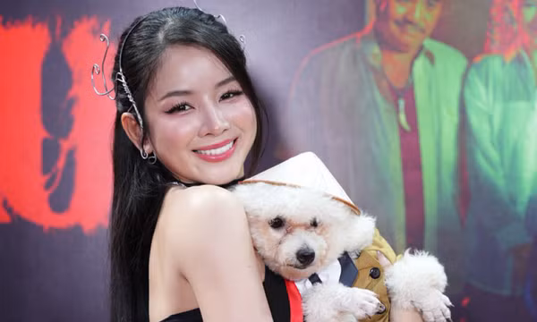 Phim Việt cuối năm tưởng bèo mà trăm tỉ