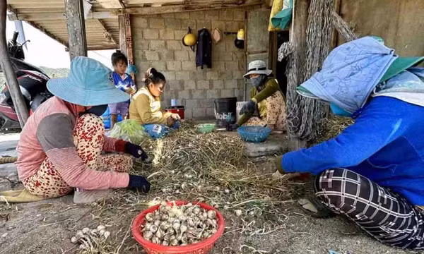 Hàng hóa dồi dào song vẫn còn hiện tượng chênh lệch về giá