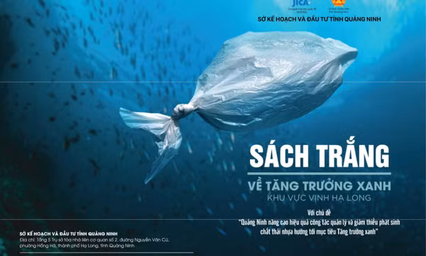 Bản tin Vùng Đông Bắc ngày 6/1/2024