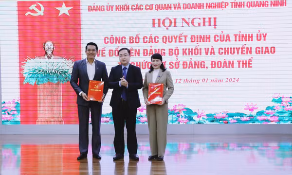Công bố quyết định của Tỉnh ủy về đổi tên Đảng bộ khối và chuyển giao tổ chức cơ sở Đảng, đoàn thể