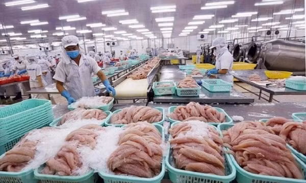 Biển Đỏ dậy sóng, doanh nghiệp Việt xoay xở thế nào?