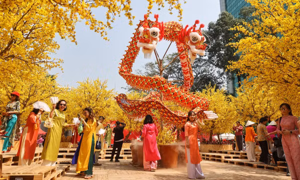 Khu vườn hoa mai hút khách ở trung tâm TP HCM