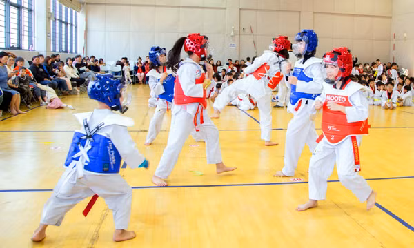 Lực đẩy cho phong trào taekwondo Quảng Ninh