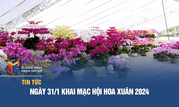 Ngày 31/1 khai mạc Hội hoa xuân 2024