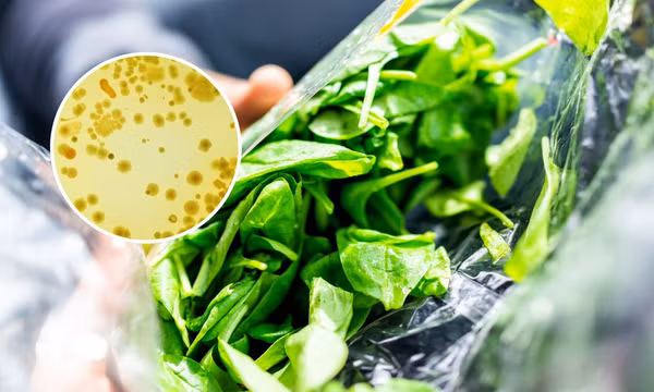 Mỹ cảnh báo vi khuẩn cực độc có trong thực phẩm