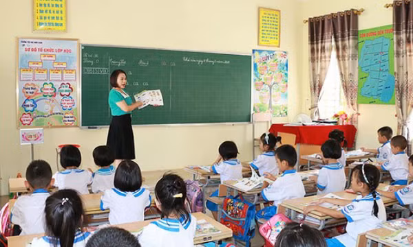 Chứng chỉ nghiệp vụ sư phạm bậc 1 và 2 có còn hiệu lực?