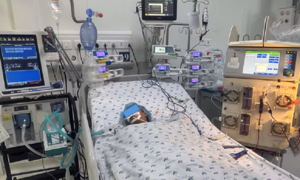 Bị ong đốt, nhiều người sốc phản vệ nguy kịch