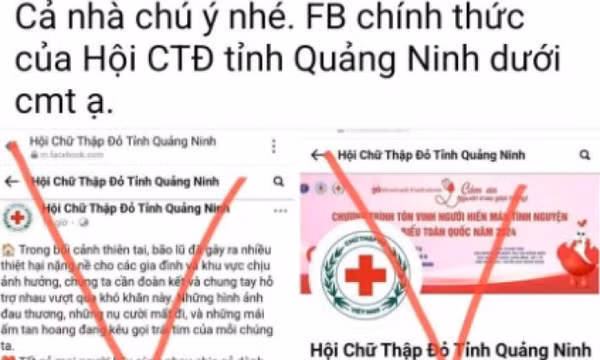 Sẽ xử lý nghiêm các trang mạng xã hội đưa thông tin, có bình luận không đúng về công tác phòng, chống, khắc phục bão số 3 tại Quảng Ninh