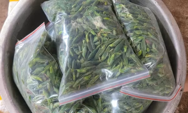 Gần triệu đồng một kg muồm muỗm